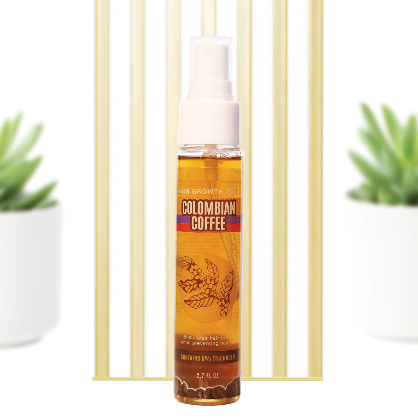 Coffee Box - Shampoo + Tonico
